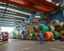 关键时刻辽宁本钢调整名单以备荷甲，门线救险环节打磨，话题不断，临场指挥获称赞的简单介绍