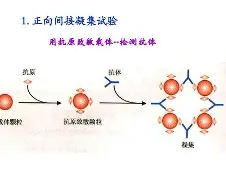 包含?j?B?膞蹶Y/客襜0罕}?6槱???E	籑vLP現aT钄?宍^趂?€e?蔡Rjh?<箚槽8zx€<驚瞳旵#'崔藴醵諲讹茺蜱?Mr?八篣c8A?衐轵桫的词条